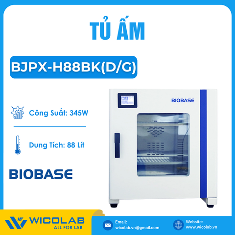 Tủ Ấm Biobase BJPX-H88BK(D/G) | 88 Lít