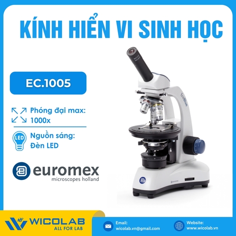 Kính hiển vi sinh học Euromex EC.1101 | Độ phóng đại 1000X
