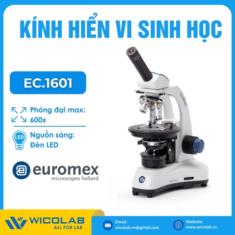 Kính hiển vi sinh học Euromex EC.1601 | Độ phóng đại 600X