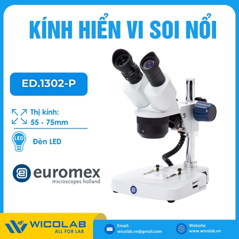 Kính hiển vi soi nổi Euromex ED.1302-P | 10/30 lần
