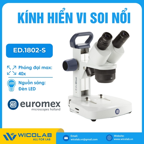 Kính hiển vi soi nổi Euromex ED.1802-S | 10/20/40 lần