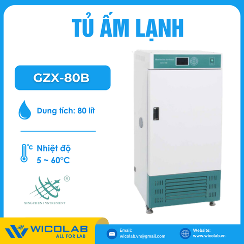 Tủ Ấm Lạnh 80 Lít Trung Quốc GZX-80B | Có Chiếu Sáng 3 Mặt