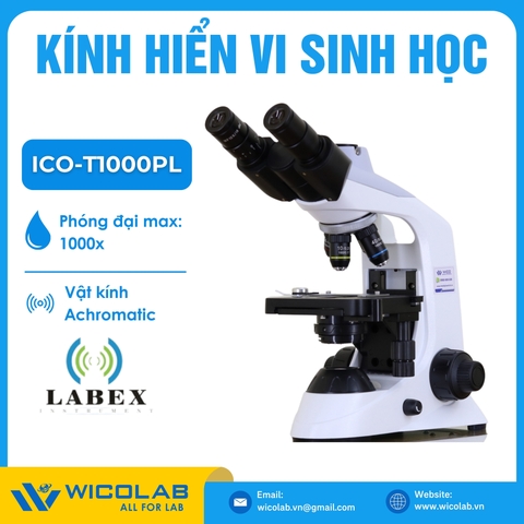 Kính Hiển Vi 3 Mắt Labex - Anh ICO-T1000PL | Cao Cấp