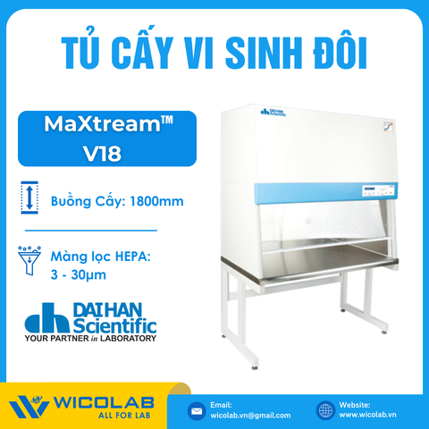 Tủ Cấy Vi Sinh Đôi Daihan Hàn Quốc MaXtream V18 | Khí Thổi Đứng