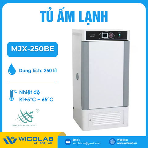 Tủ Ấm Lạnh 250 Lít - Có Đèn UV Xingchen MJX-250BE