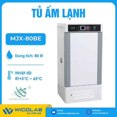 Tủ Ấm Lạnh Có Đèn UV - 80 Lít Xingchen MJX-80BE