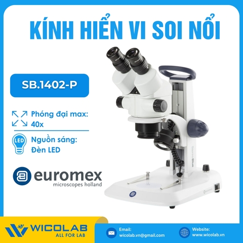 Kính Hiển Vi Soi Nổi Euromex SB.1402-P | 20 Đến 40 Lần