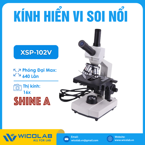 Kính Hiển Vi Sinh Học Trung Quốc XSP-102V