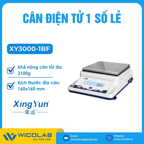 Cân Điện Tử 1 Số Lẻ Xingyun - Trung Quốc XY3000-1BF | 3100g - 0.1g