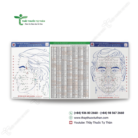 Tờ sơ đồ huyệt màu + 52 phác đồ A4