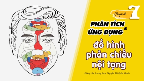 Lớp chuyên sâu - CĐ 7: Phân tích & ứng dụng đồ hình phản chiếu nội tạng | Giảng viên: Lương dược Nguyễn Thị Quốc Khánh