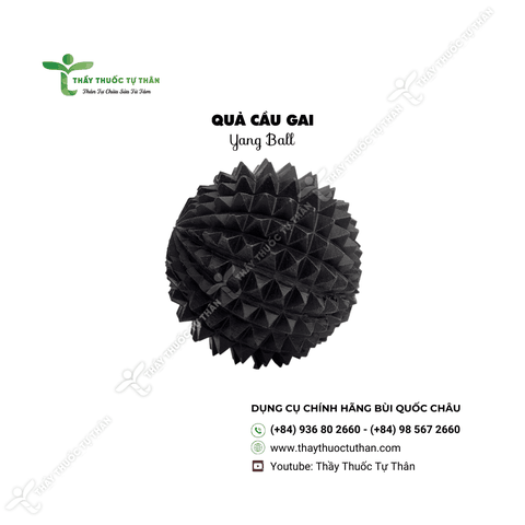 Quả cầu gai | Yang ball