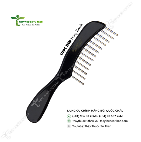 Lược tiên nhỏ | Little Fairy Comb