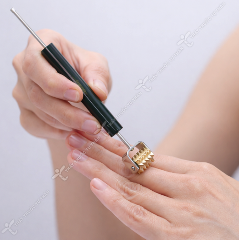 Dò lăn đồng gai | Brass Roller-Detector