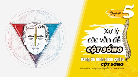Lớp chuyên sâu - CĐ 5: Phân tích & ứng dụng đồ hình phản chiếu cột sống | Giảng viên: Lương dược Nguyễn Thị Quốc Khánh