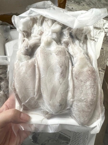 MỰC LÁ CHÃ SIZE 10-12