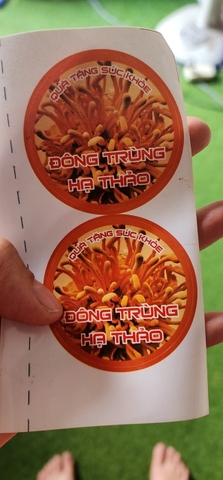 tem đông trùng 5cm