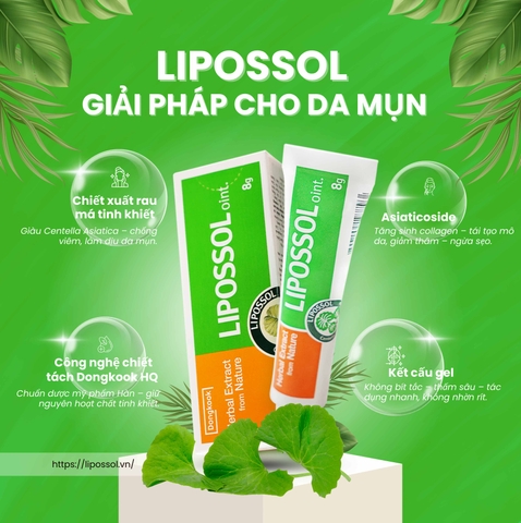 LIPOSSOL – Gel phục hồi da mụn từ rau má Hàn Quốc – Chuẩn y khoa, hiệu quả vượt trội