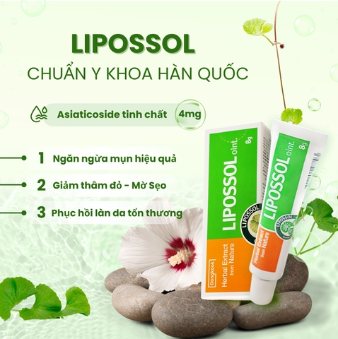 Lipossol – Gel phục hồi da từ rau má chuẩn y khoa Hàn Quốc, an toàn cho da tổn thương