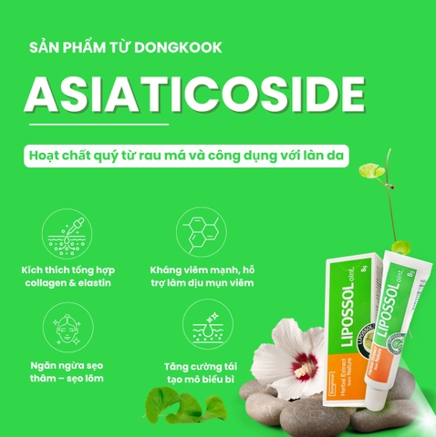 Asiaticoside – Bí quyết phục hồi da được chuyên gia Hàn Quốc tin dùng