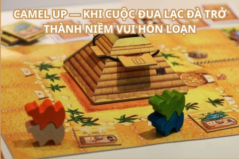 Camel Up — Khi cuộc đua lạc đà trở thành niềm vui hỗn loạn