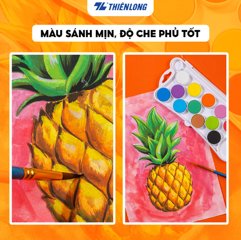 Màu Nước Colokit WACO-C001 - 12 Màu