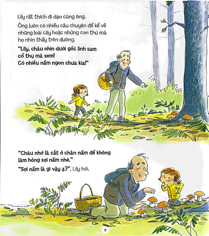 Bí Mật Của Rừng - The Forest Secret - Luc Foccroulle, Annick Masson