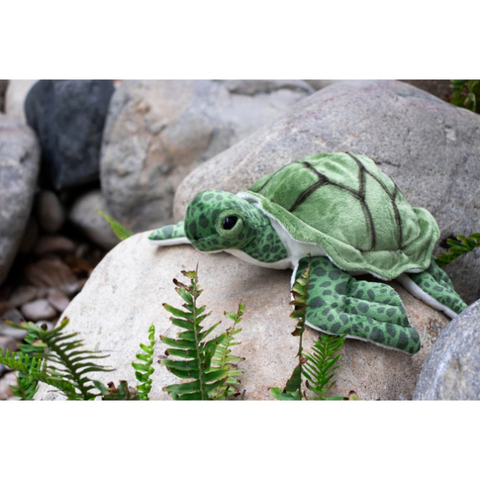 Thú nhồi bông - Rùa 10