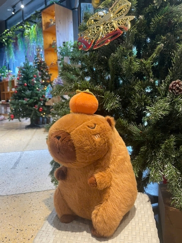 Thú bông Capybara đính trái cam lông xù TC - S1
