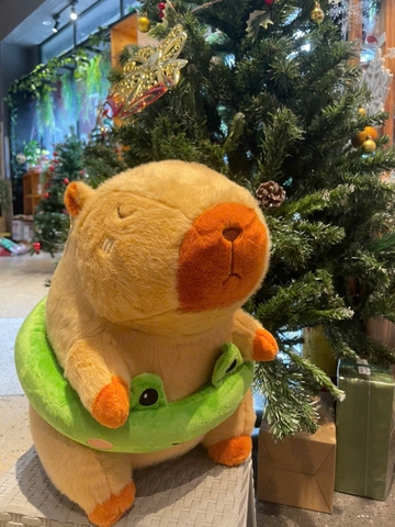 Thú bông Capybara đeo phao thú lông xù TC - Ếch - S3