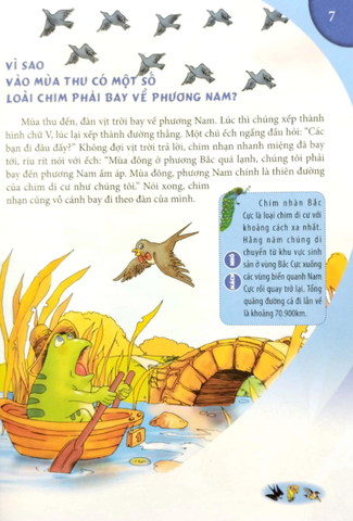 10 Vạn Câu Hỏi Vì Sao - Động Vật Biết Bay Và Thực Vật