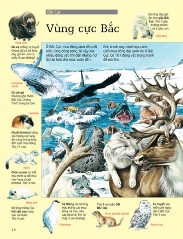 Thử Tài Tìm Kiếm - Động Vật