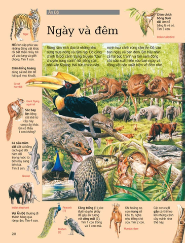 Thử Tài Tìm Kiếm - Động Vật