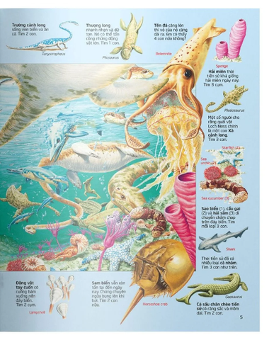 Thử Tài Tìm Kiếm - Biển Khơi - Usborne