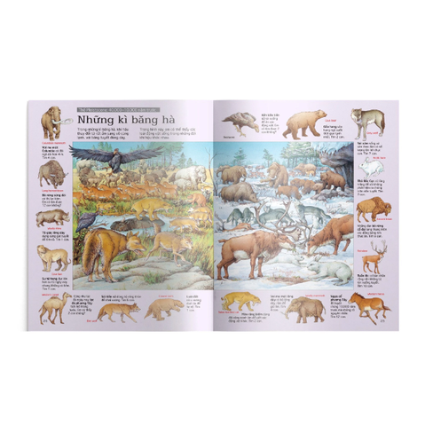 Thử Tài Tìm Kiếm - Khủng Long - Usborne