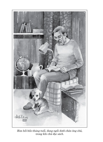 Classic - Con Bim Trắng Tai Đen - Gavriil Troyepolsky