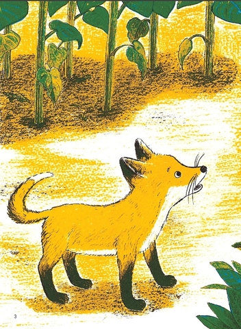 Tìm Thấy Rồi Nhé! - Kumiko Yamamoto