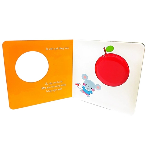 Thứ Tròn Trĩnh Này Là Gì Vậy? - Akio Kashiwara