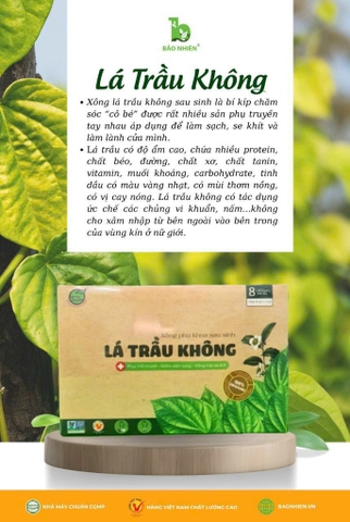 lá trầu không ( xông phụ khoa )