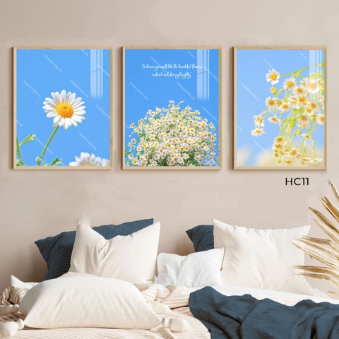 Bộ 3 Tranh Cúc Bản Giao Hưởng Mùa Xuân | HC11