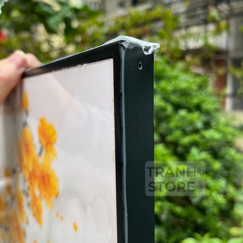 Tranh Độc Điểu Thưởng Mai | HM12