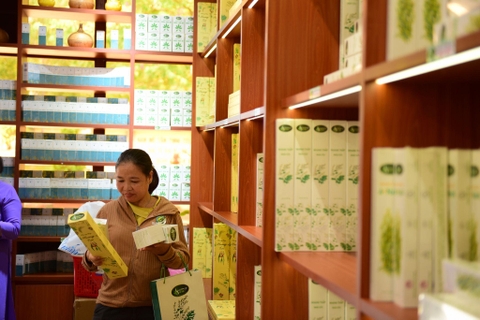 Dùng cây cỏ Việt bảo vệ sức khỏe người Việt