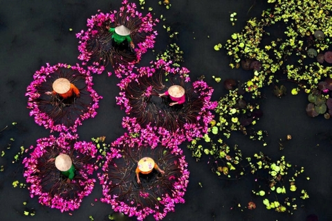 BAI DINH – TRANG AN - MUA CAVE -1 DAY TRIP BY LIMOUSINE