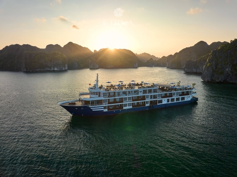 Erina Cruise