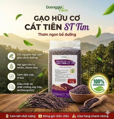 GẠO ST TÍM CÁT TIÊN HỮU CƠ