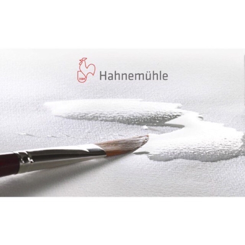 Giấy màu nước Veneto & Cezanne HAHNEMUHLE hạng chuyên nghiệp