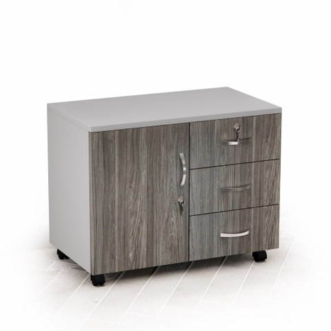 Tủ Hồ Sơ Di Động Cao Cấp Fergus FGHT05