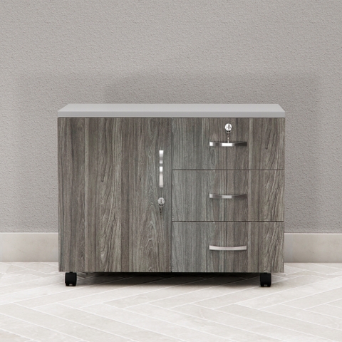 Tủ Hồ Sơ Di Động Cao Cấp Fergus FGHT05