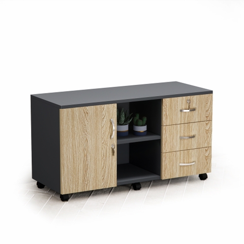 Tủ Hồ Sơ Di Động Cao Cấp Fergus FGHT08