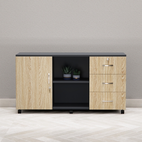 Tủ Hồ Sơ Di Động Cao Cấp Fergus FGHT08